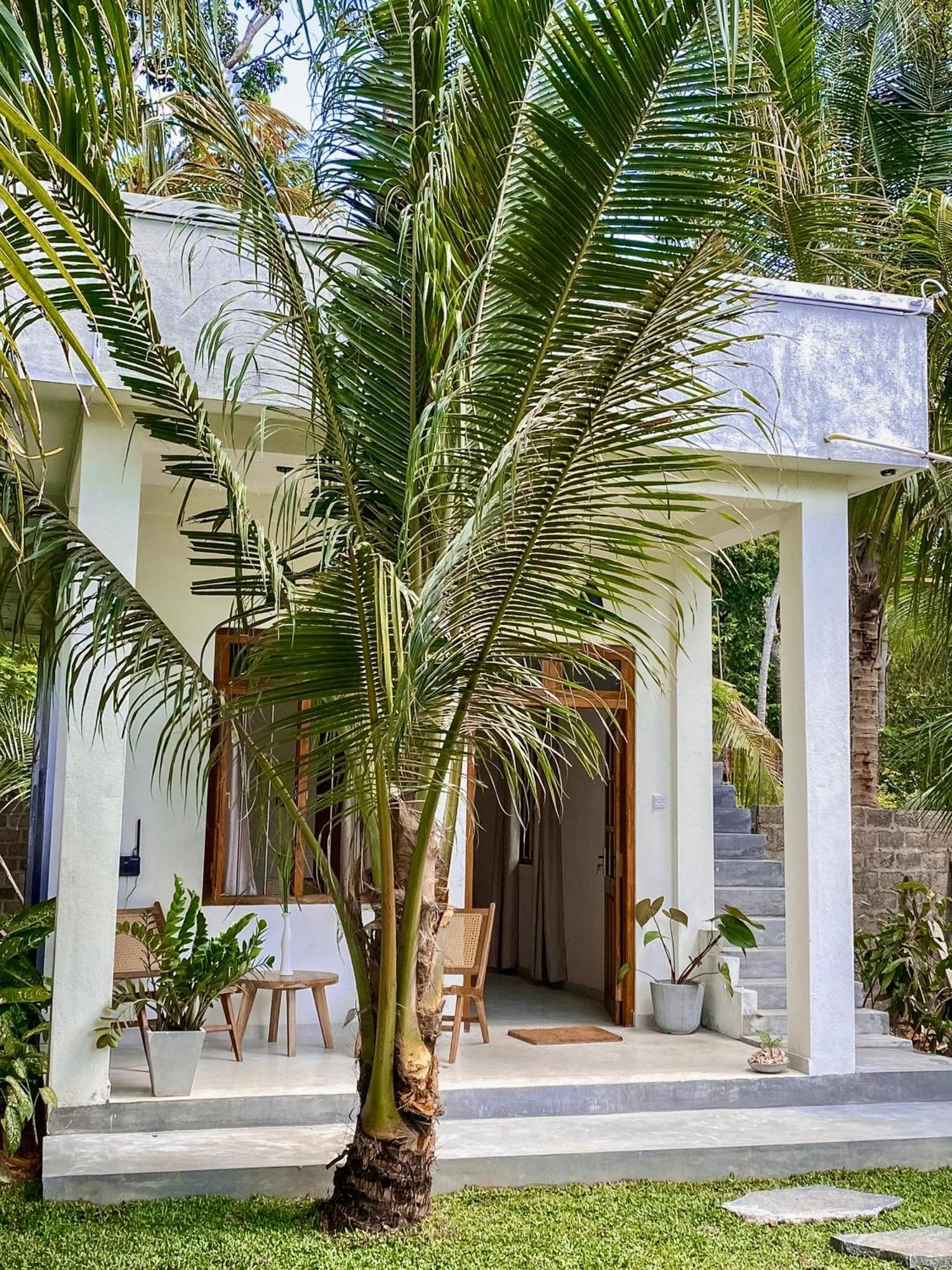 The Palm Private Cottages 米迪加马东 外观 照片